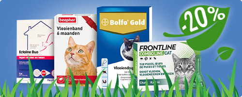 Anti-Flohmittel für Ihre Katze